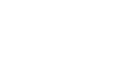 Trade Bridge Advisors, EXIM, Customs, GST, DGFT, SEZ, FEMA